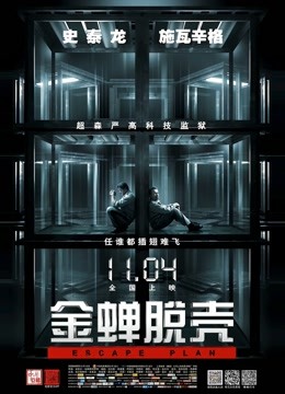 肉肉在干嘛视图合集 [37P+41V 1.43G]